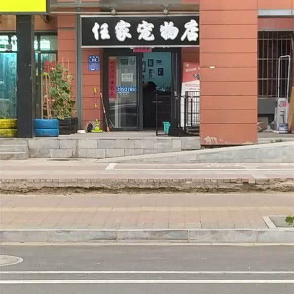 任家宠物店:邢台市信都区兴达路附近
