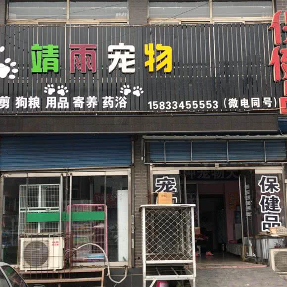 靖雨宠物:唐山市路北区