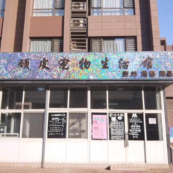 顽皮宠物狗生活馆:唐山市路北区