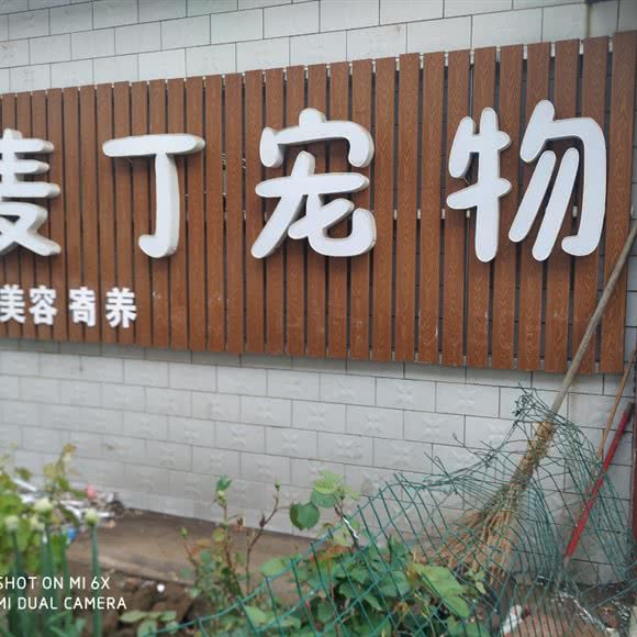 麦丁宠物:唐山市路北区