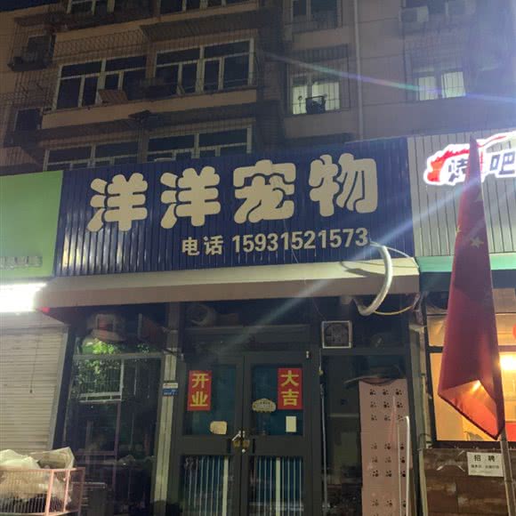 洋洋宠物:唐山市路北区