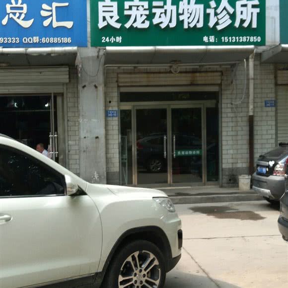 良宠动物诊所:邢台市信都区守敬南路附近