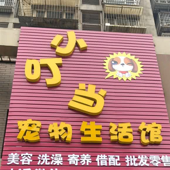 小叮当宠物生活馆:唐山市开平区