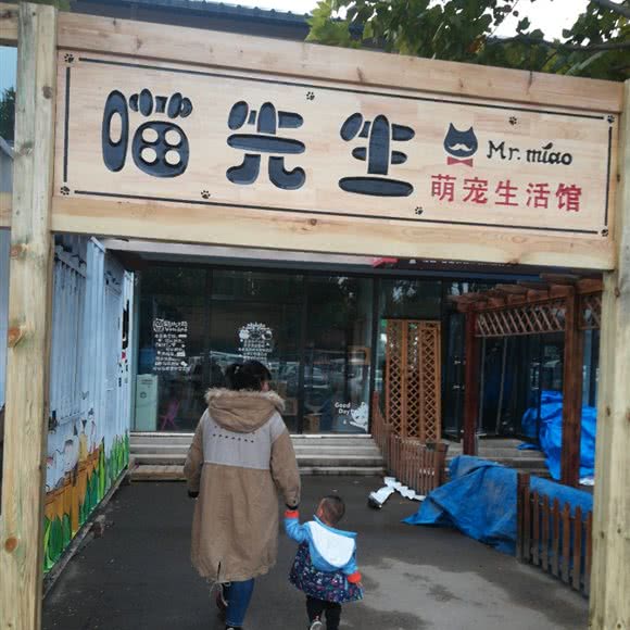 喵先生萌宠生活馆:唐山市开平区