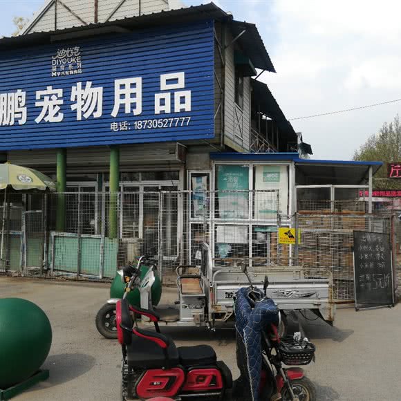 大鹏犬舍:唐山市开平区