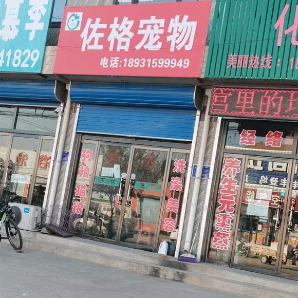 佐格宠物:唐山市丰润区