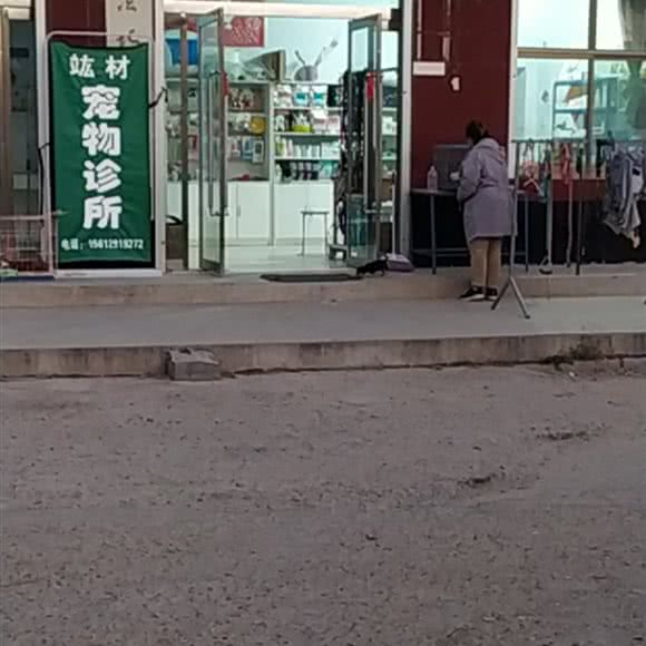 竑材宠物诊所:邢台市任泽区任泽区附近