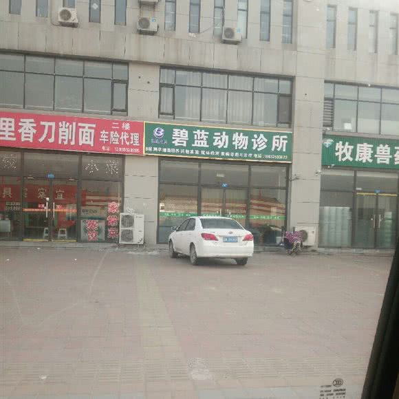 碧蓝动物诊所:唐山市滦南县