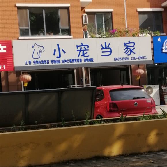 小宠当家:唐山市乐亭县