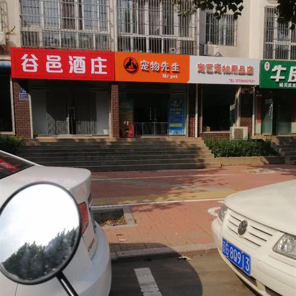 宠物先生:唐山市乐亭县