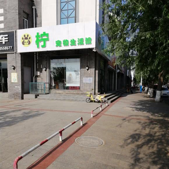 柠宠物生活馆:唐山市乐亭县