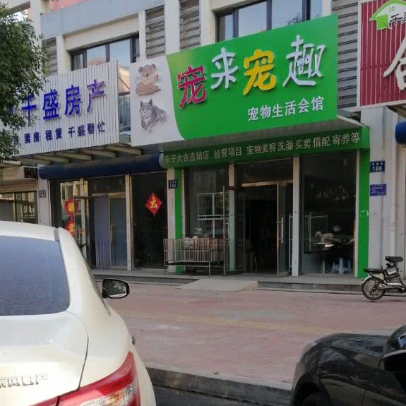 宠来宠趣:唐山市乐亭县