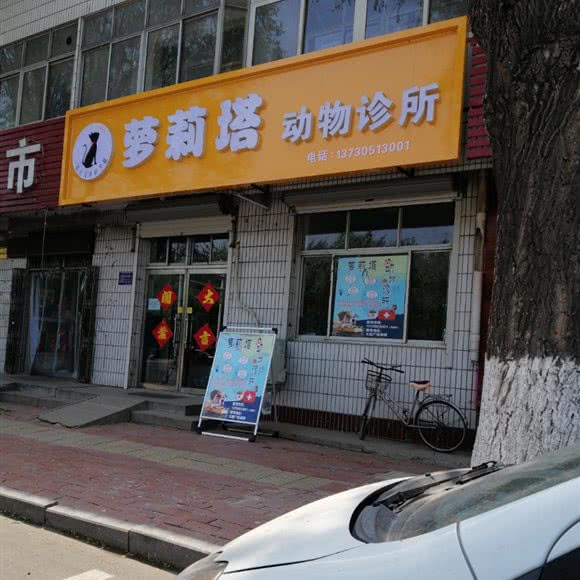 萝莉塔动物诊所:唐山市乐亭县