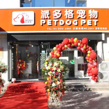 派多格宠物(遵化龙华名苑店):唐山市遵化市