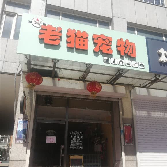 老猫宠物:唐山市遵化市