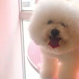 望康狗狗诊疗中心:唐山市遵化市