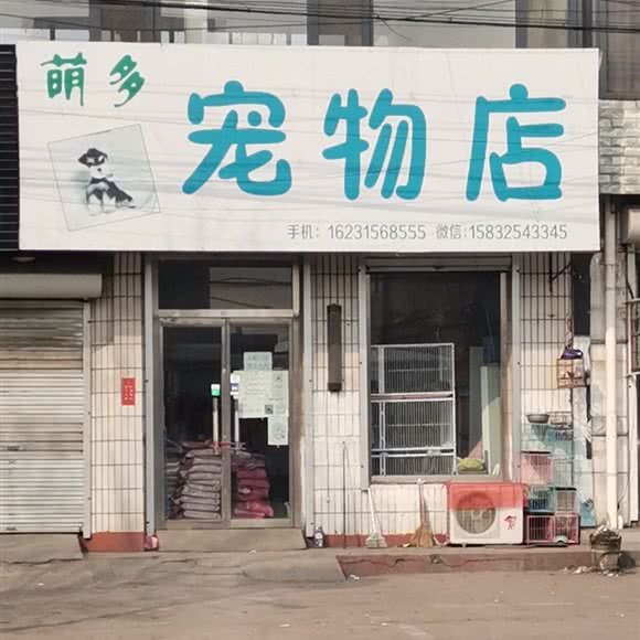 萌多宠物店:唐山市迁安市
