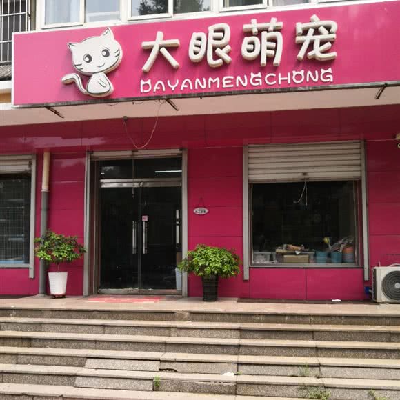 大眼萌宠:唐山市迁安市