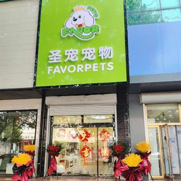 圣宠宠物(燕山大路店):唐山市迁安市