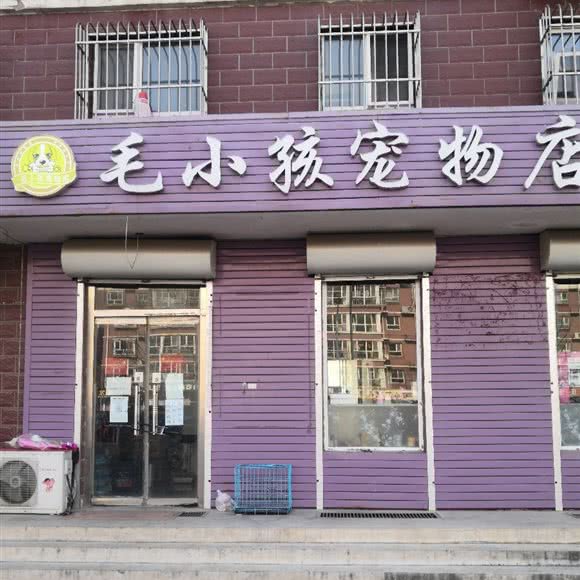 毛小孩宠物店:唐山市迁安市