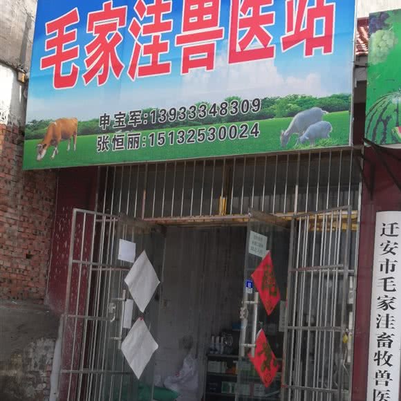 毛家洼兽医站:唐山市迁安市