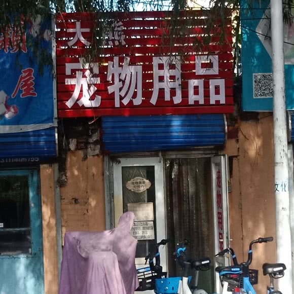 大熊宠物用品:秦皇岛市海港区