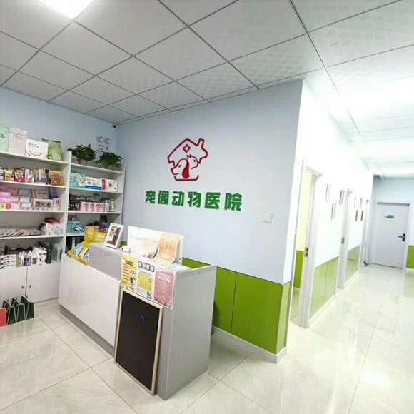宠阁动物医院:秦皇岛市海港区
