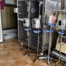 抚宁区北戴河区王威哺乳动物诊所:秦皇岛市北戴河区