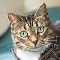 丽杰宠物(宠尚宠物店):秦皇岛市昌黎县