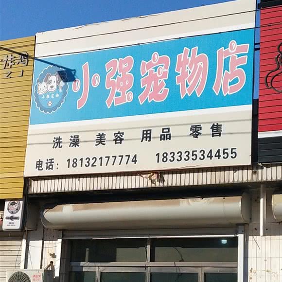 小强宠物店:秦皇岛市昌黎县