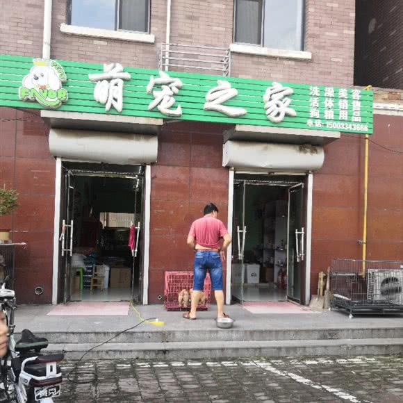 萌宠之家:秦皇岛市卢龙县