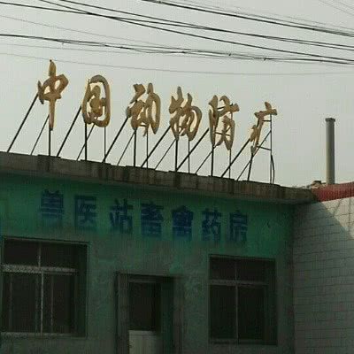 兽医站:秦皇岛市卢龙县