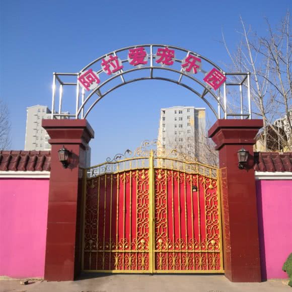 阿拉爱宠乐园:邯郸市邯山区