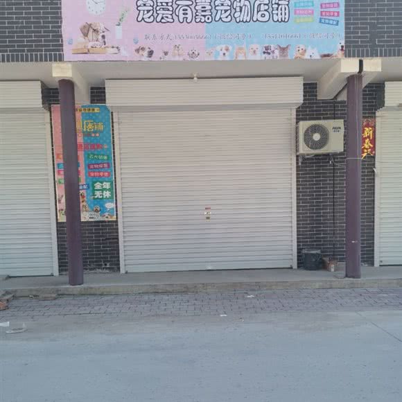 宠爱有嘉宠物店铺:邯郸市丛台区