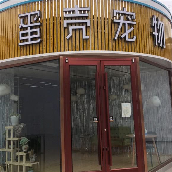 蛋壳宠物:保定市竞秀区万博/竞秀附近