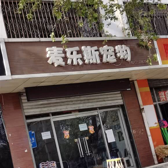 麦乐斯宠物:保定市竞秀区万博/竞秀附近