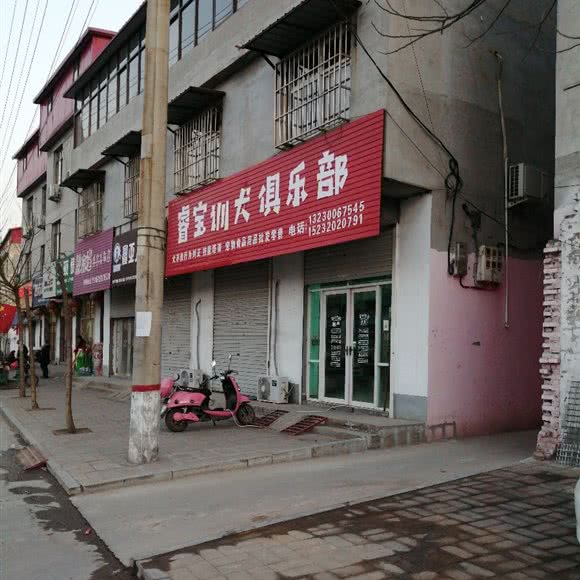 睿宝训犬俱乐部:邯郸市永年区