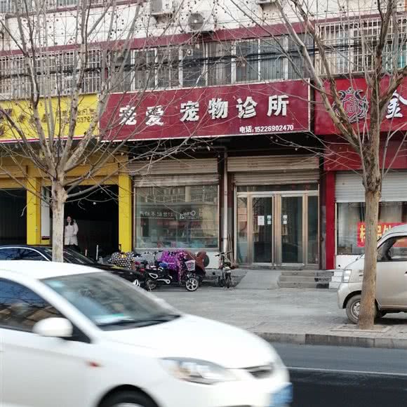宠爱宠物诊所:邯郸市永年区