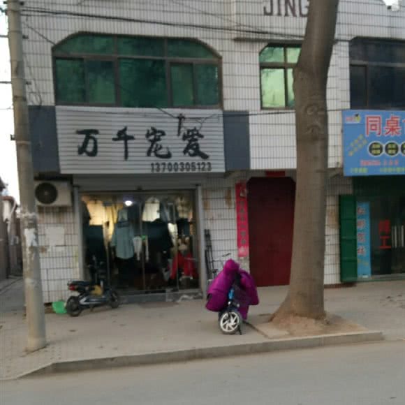 万千宠爱:邯郸市临漳县