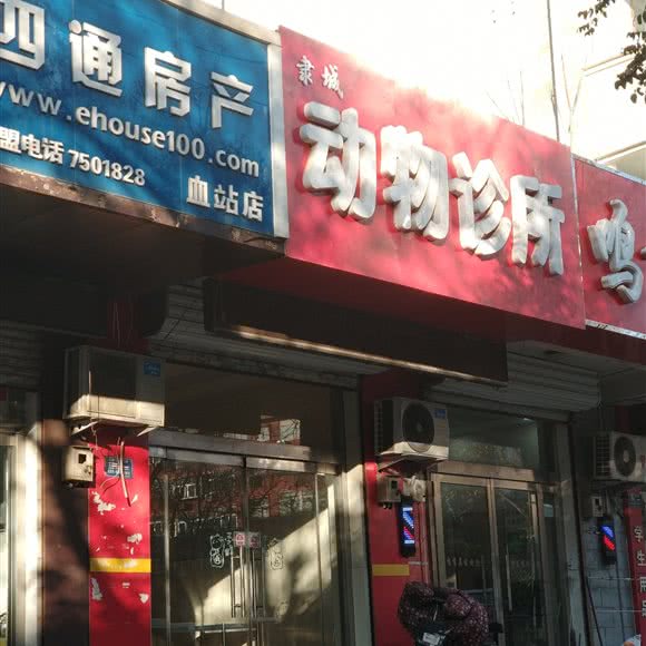 隶城动物诊所:保定市竞秀区万博/竞秀附近