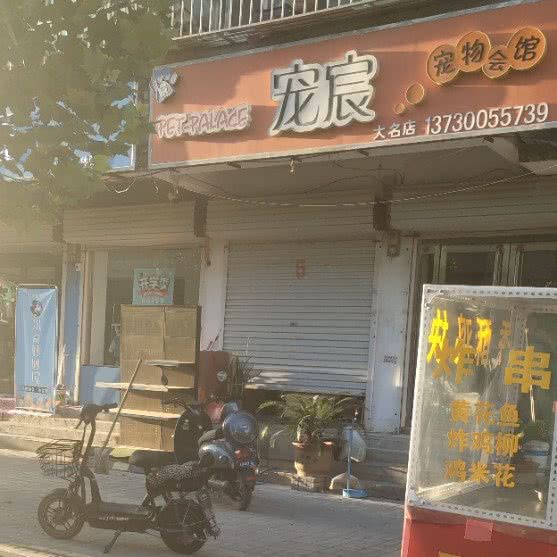 宠宸宠物会馆(大名店):邯郸市大名县