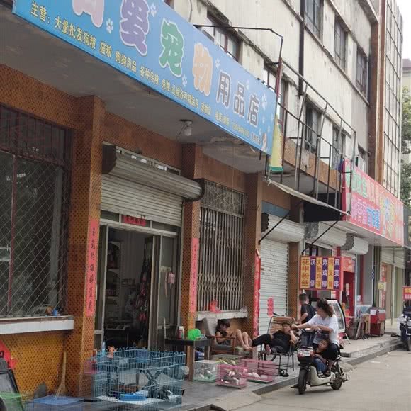 有爱宠物用品店:邯郸市磁县