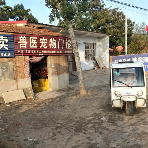 兽医宠物门诊:邯郸市馆陶县