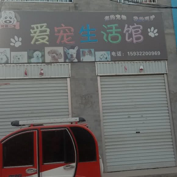 宠爱一生爱宠生活馆:邯郸市魏县
