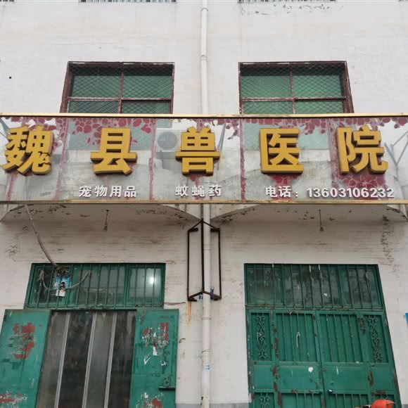 魏县兽医院:邯郸市魏县