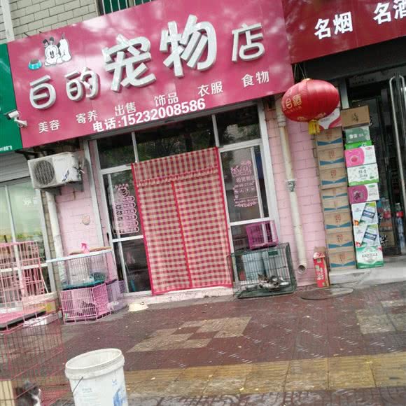 白的宠物店:邯郸市武安市