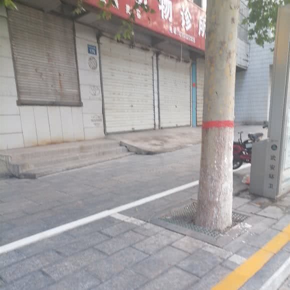 宠物洗澡美容:邯郸市武安市