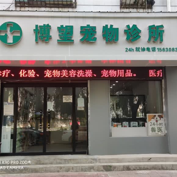 博望宠物诊所:保定市竞秀区北国先天下/保广附近