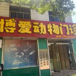 博爱鸟类门诊:邯郸市武安市