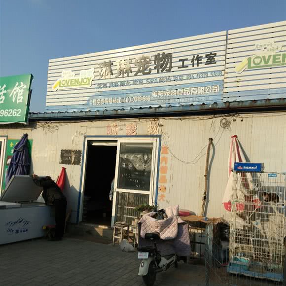 琳琳宠物工作室:邢台市襄都区